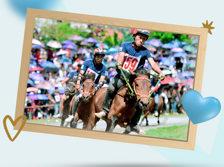 Lễ Hội Đua Ngựa Phú Yên