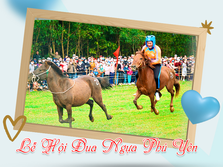 Lễ Hội Đua Ngựa Phú Yên